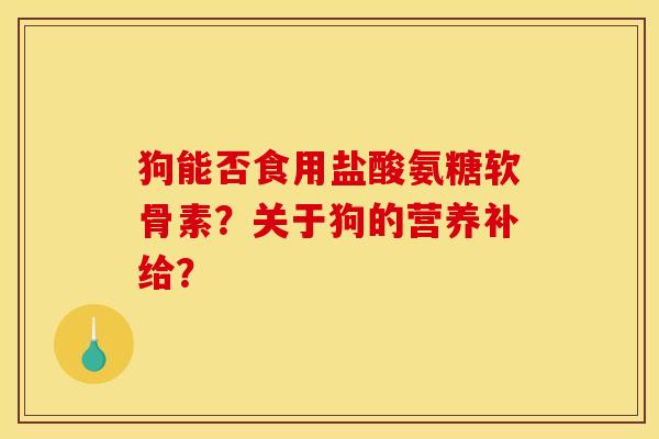 狗能否食用盐酸氨糖软骨素？关于狗的营养补给？