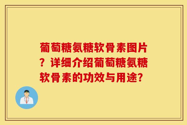 葡萄糖氨糖软骨素图片？详细介绍葡萄糖氨糖软骨素的功效与用途？