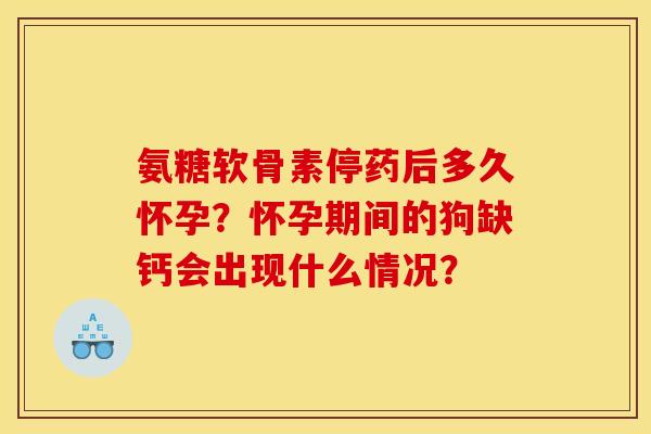 氨糖软骨素停药后多久怀孕？怀孕期间的狗缺钙会出现什么情况？