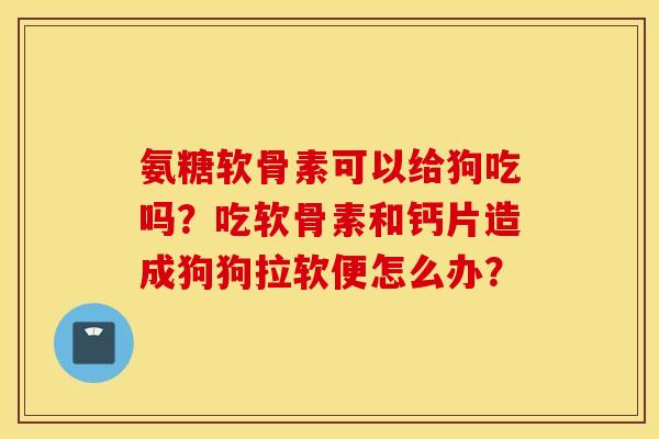 氨糖软骨素可以给狗吃吗？吃软骨素和钙片造成狗狗拉软便怎么办？