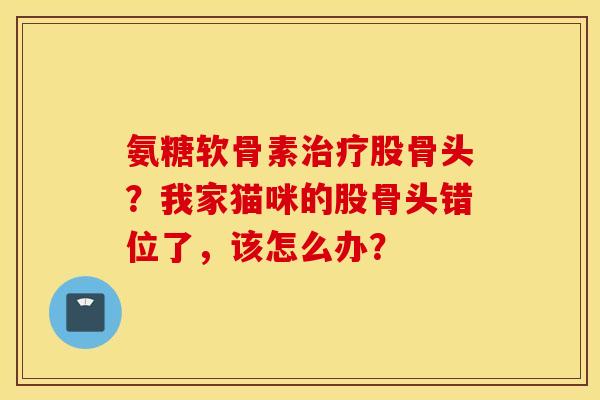氨糖软骨素治疗股骨头？我家猫咪的股骨头错位了，该怎么办？