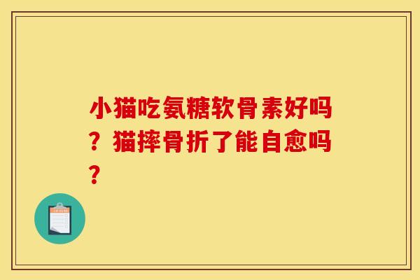 小猫吃氨糖软骨素好吗？猫摔骨折了能自愈吗？