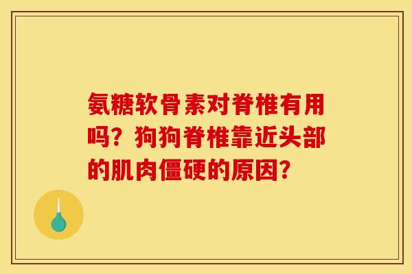 氨糖软骨素对脊椎有用吗？狗狗脊椎靠近头部的肌肉僵硬的原因？