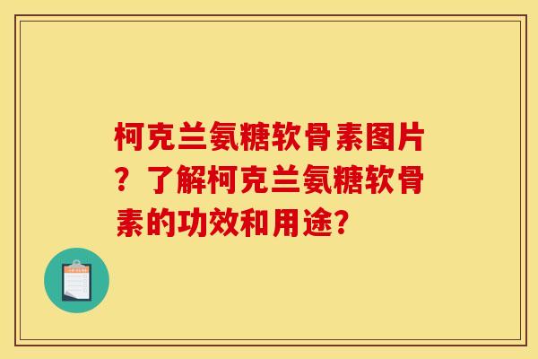 柯克兰氨糖软骨素图片？了解柯克兰氨糖软骨素的功效和用途？