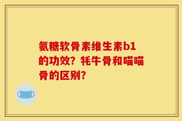氨糖软骨素维生素b1的功效？牦牛骨和喵喵骨的区别？