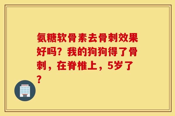 氨糖软骨素去骨刺效果好吗？我的狗狗得了骨刺，在脊椎上，5岁了？