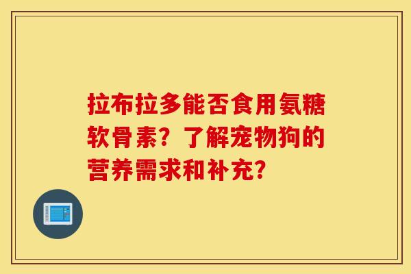 拉布拉多能否食用氨糖软骨素？了解宠物狗的营养需求和补充？
