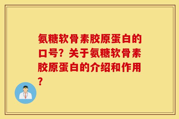 氨糖软骨素胶原蛋白的口号？关于氨糖软骨素胶原蛋白的介绍和作用？