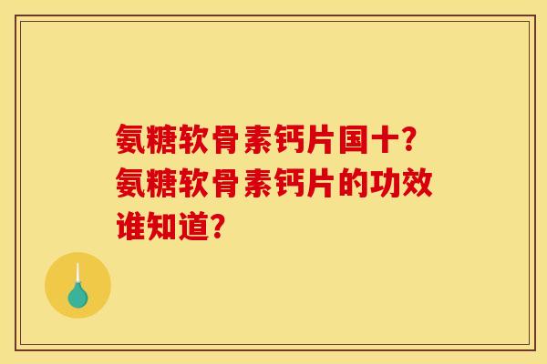 氨糖软骨素钙片国十？氨糖软骨素钙片的功效谁知道？