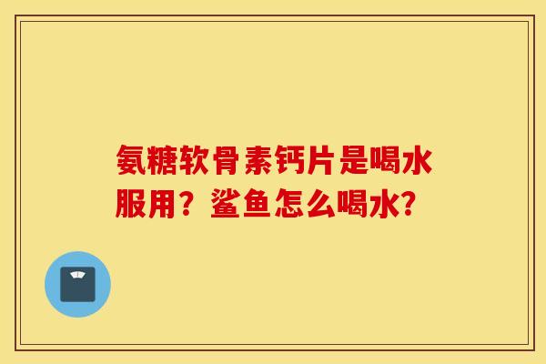 氨糖软骨素钙片是喝水服用?鲨鱼怎么喝水? 氨糖软骨素钙片是喝水服用?鲨鱼怎么喝水?