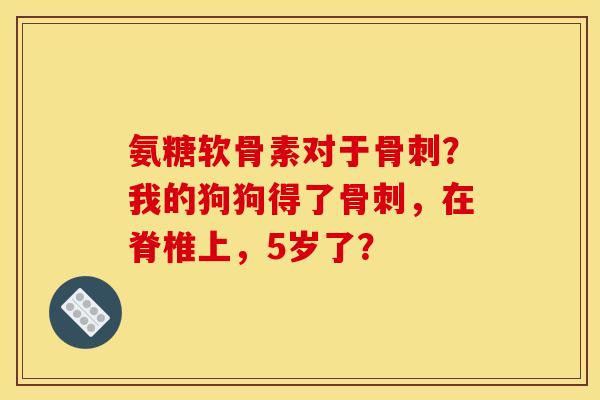 氨糖软骨素对于骨刺？我的狗狗得了骨刺，在脊椎上，5岁了？