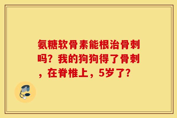 氨糖软骨素能根治骨刺吗?我的狗狗得了骨刺,在脊椎上,5岁了? 氨糖软骨素能根治骨刺吗?我的狗狗得了骨刺,在脊椎上,5岁了?