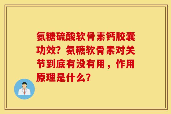 氨糖硫酸软骨素钙胶囊功效？氨糖软骨素对关节到底有没有用，作用原理是什么？