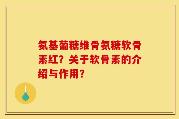 氨基葡糖维骨氨糖软骨素红？关于软骨素的介绍与作用？