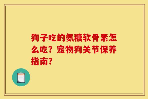 狗子吃的氨糖软骨素怎么吃？宠物狗关节保养指南？