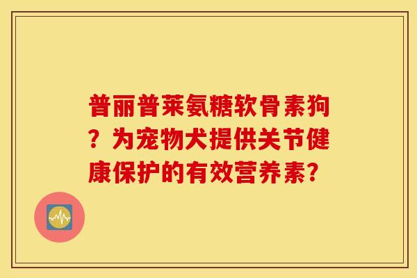 普丽普莱氨糖软骨素狗?为宠物犬提供关节健康保护的有效营养素? 普丽普莱氨糖软骨素狗?为宠物犬提供关节健康保护的有效营养素?