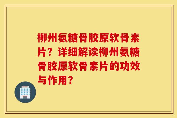 柳州氨糖骨胶原软骨素片？详细解读柳州氨糖骨胶原软骨素片的功效与作用？