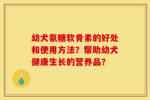 幼犬氨糖软骨素的好处和使用方法？帮助幼犬健康生长的营养品？