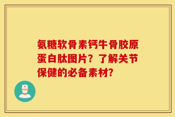 氨糖软骨素钙牛骨胶原蛋白肽图片？了解关节保健的必备素材？