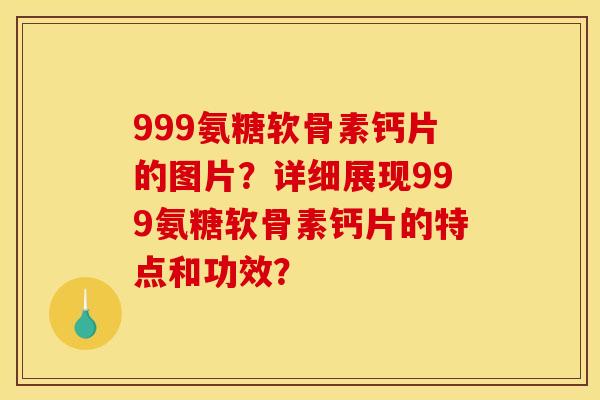 999氨糖软骨素钙片的图片？详细展现999氨糖软骨素钙片的特点和功效？