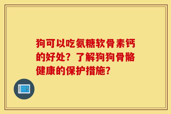 狗可以吃氨糖软骨素钙的好处？了解狗狗骨骼健康的保护措施？