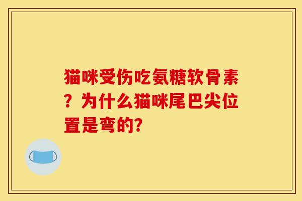猫咪受伤吃氨糖软骨素？为什么猫咪尾巴尖位置是弯的？