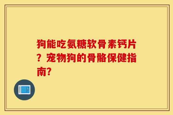 狗能吃氨糖软骨素钙片？宠物狗的骨骼保健指南？
