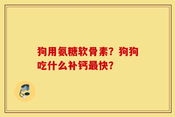 狗用氨糖软骨素？狗狗吃什么补钙最快？