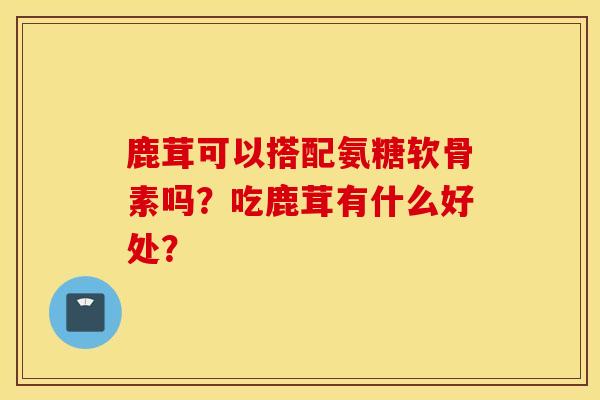 鹿茸可以搭配氨糖软骨素吗？吃鹿茸有什么好处？