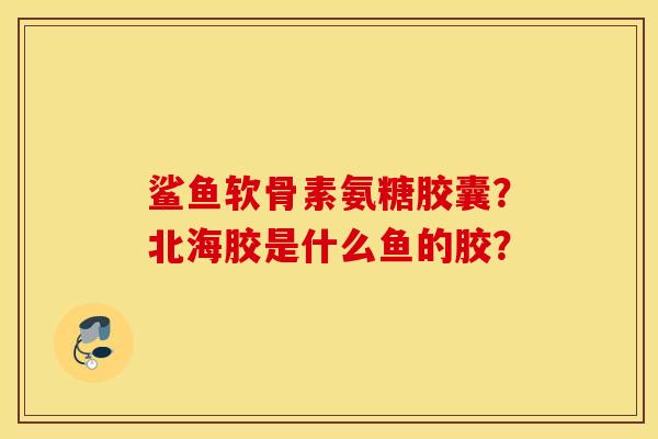鲨鱼软骨素氨糖胶囊？北海胶是什么鱼的胶？