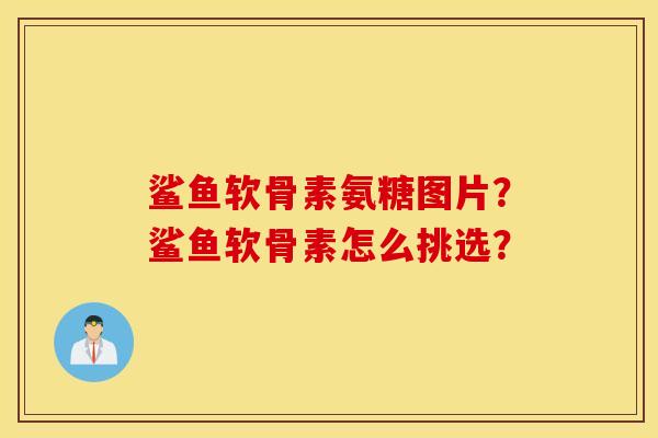 鲨鱼软骨素氨糖图片?鲨鱼软骨素怎么挑选? 鲨鱼软骨素氨糖图片?鲨鱼软骨素怎么挑选?