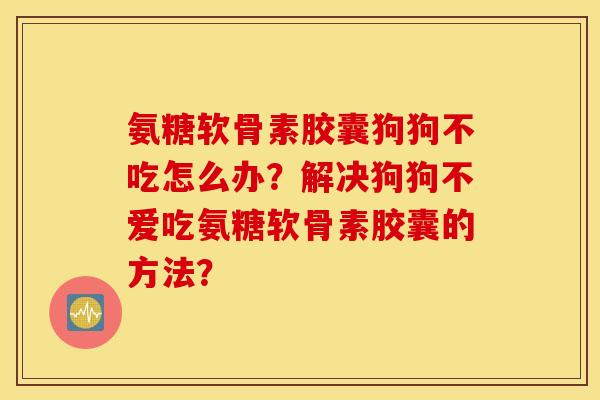 氨糖软骨素胶囊狗狗不吃怎么办？解决狗狗不爱吃氨糖软骨素胶囊的方法？