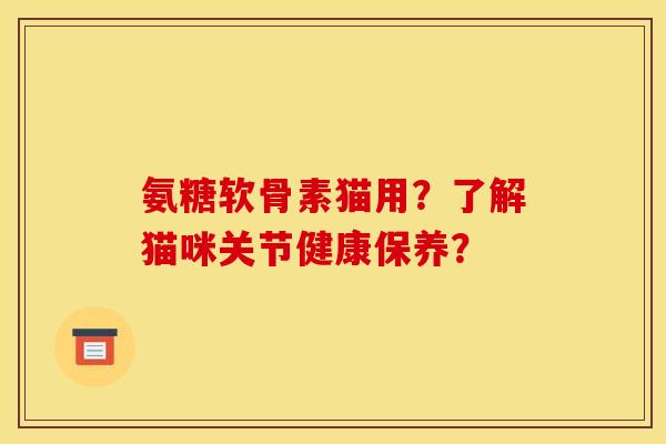 氨糖软骨素猫用？了解猫咪关节健康保养？