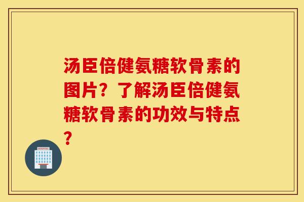 汤臣倍健氨糖软骨素的图片？了解汤臣倍健氨糖软骨素的功效与特点？