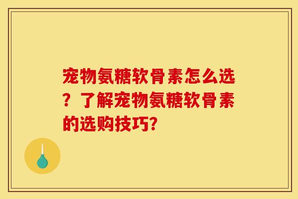 宠物氨糖软骨素怎么选？了解宠物氨糖软骨素的选购技巧？