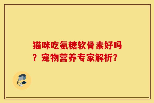 猫咪吃氨糖软骨素好吗？宠物营养专家解析？