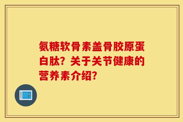 氨糖软骨素盖骨胶原蛋白肽？关于关节健康的营养素介绍？