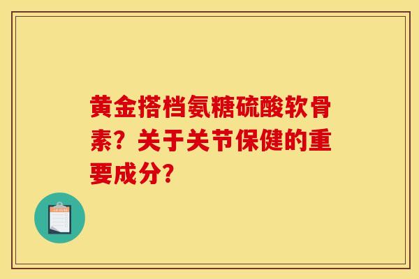 黄金搭档氨糖硫酸软骨素？关于关节保健的重要成分？