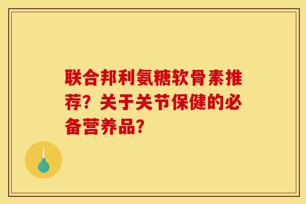 联合邦利氨糖软骨素推荐？关于关节保健的必备营养品？