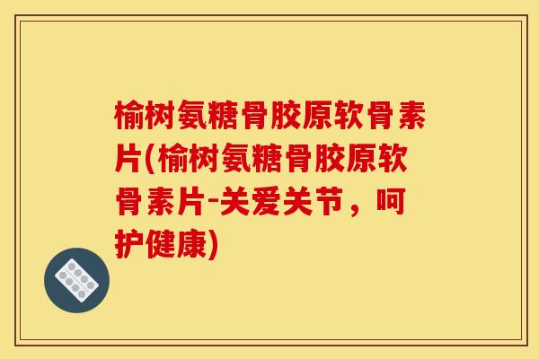 榆树氨糖骨胶原软骨素片(榆树氨糖骨胶原软骨素片-关爱关节，呵护健康)