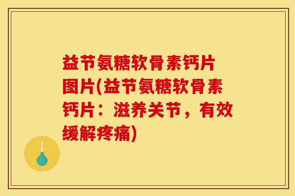益节氨糖软骨素钙片 图片(益节氨糖软骨素钙片：滋养关节，有效缓解疼痛)