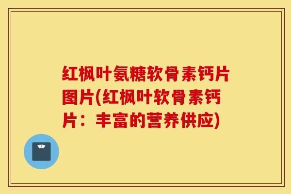 红枫叶氨糖软骨素钙片图片(红枫叶软骨素钙片：丰富的营养供应)