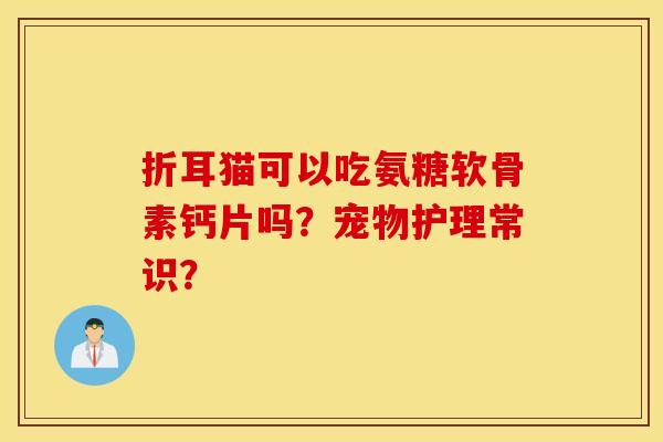 折耳猫可以吃氨糖软骨素钙片吗?宠物护理常识? 折耳猫可以吃氨糖软骨素钙片吗?宠物护理常识?