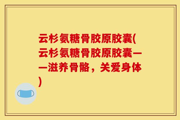 云杉氨糖骨胶原胶囊(云杉氨糖骨胶原胶囊——滋养骨骼，关爱身体)