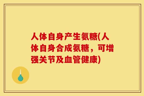 人体自身产生氨糖(人体自身合成氨糖，可增强关节及血管健康)