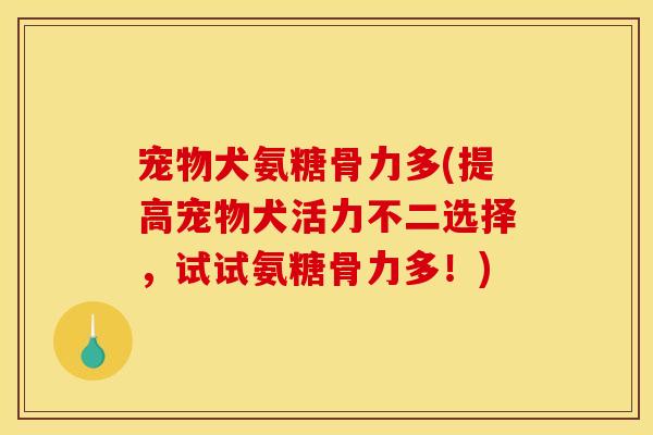 宠物犬氨糖骨力多(提高宠物犬活力不二选择，试试氨糖骨力多！)