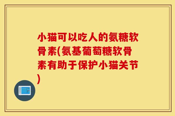 小猫可以吃人的氨糖软骨素(氨基葡萄糖软骨素有助于保护小猫关节)