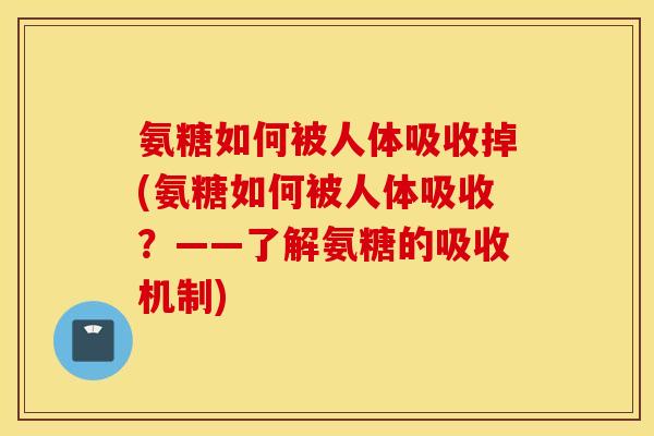 氨糖如何被人体吸收掉(氨糖如何被人体吸收？——了解氨糖的吸收机制)