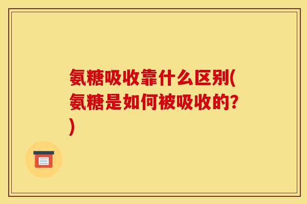 氨糖吸收靠什么区别(氨糖是如何被吸收的？)