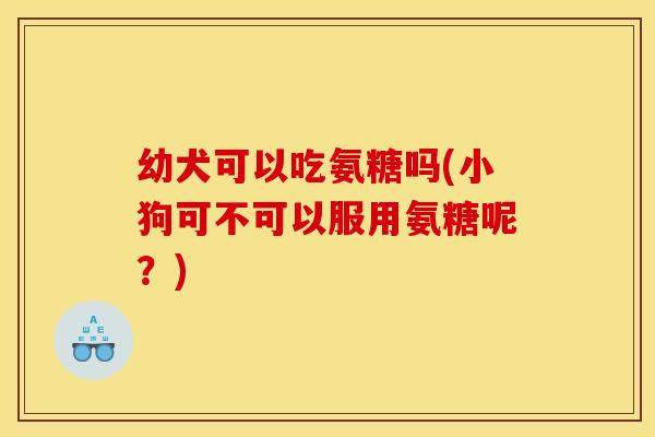 幼犬可以吃氨糖吗(小狗可不可以服用氨糖呢？)